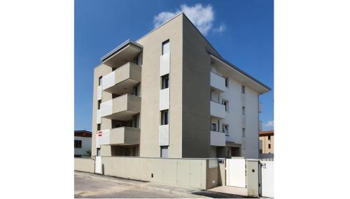 10 - Oliva Y 2 - ALLUNGATA